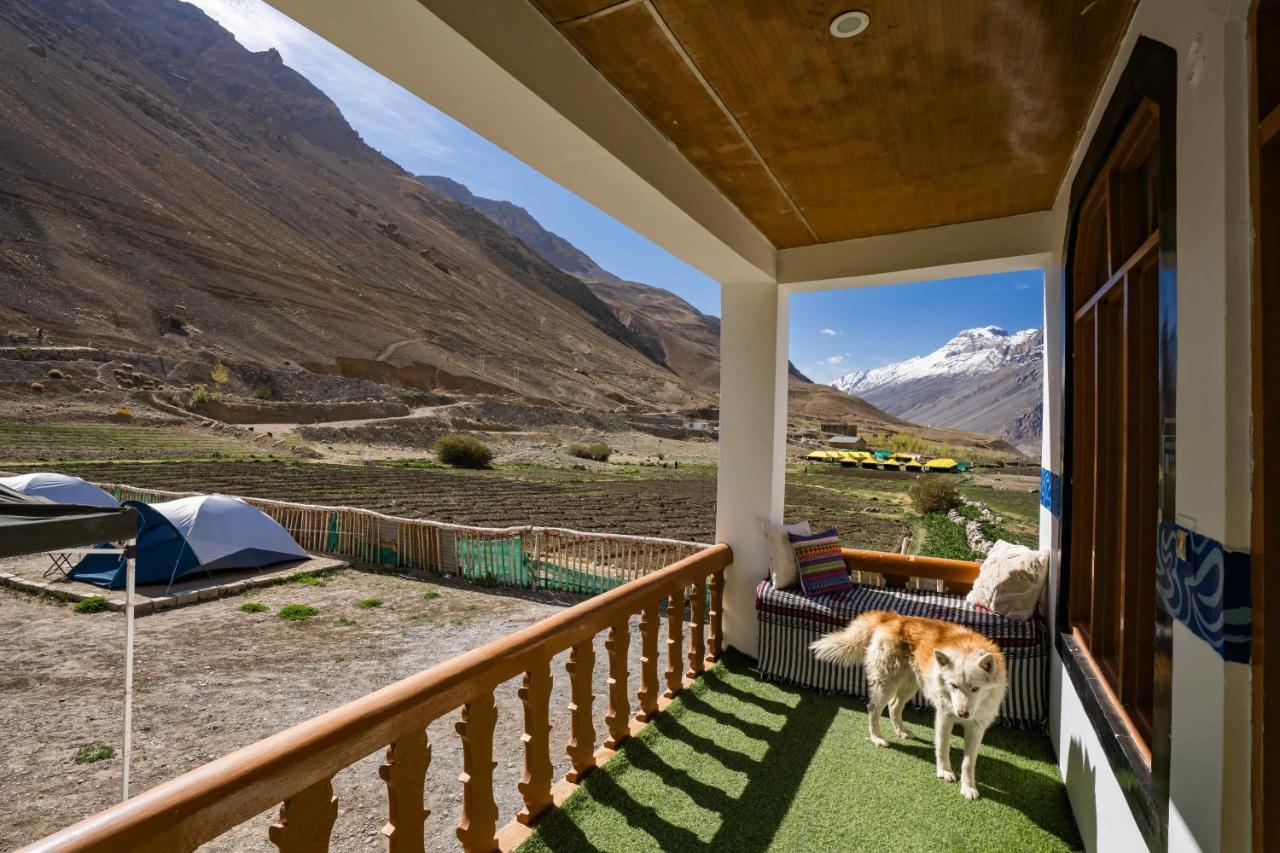 Zostel Spiti Pansiyon Kaza Dış mekan fotoğraf