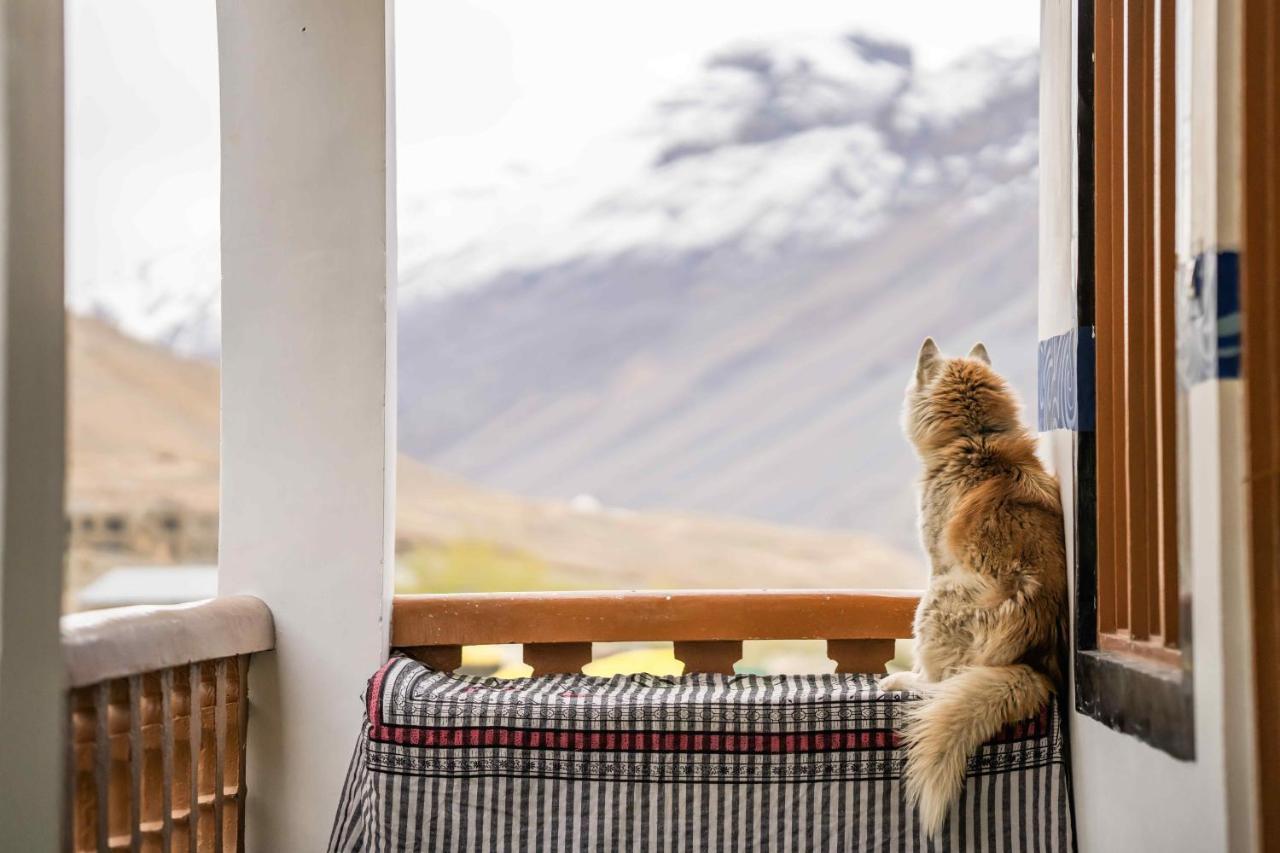 Zostel Spiti Pansiyon Kaza Dış mekan fotoğraf
